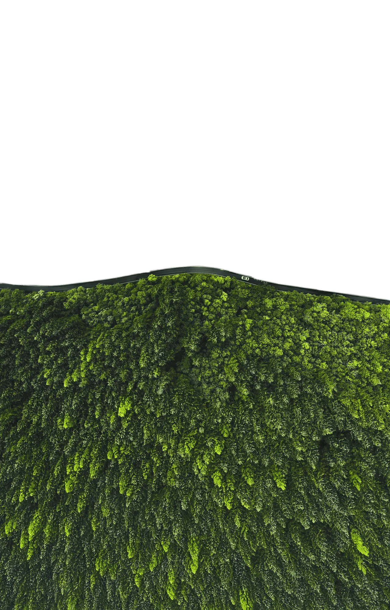 foret+route (1)